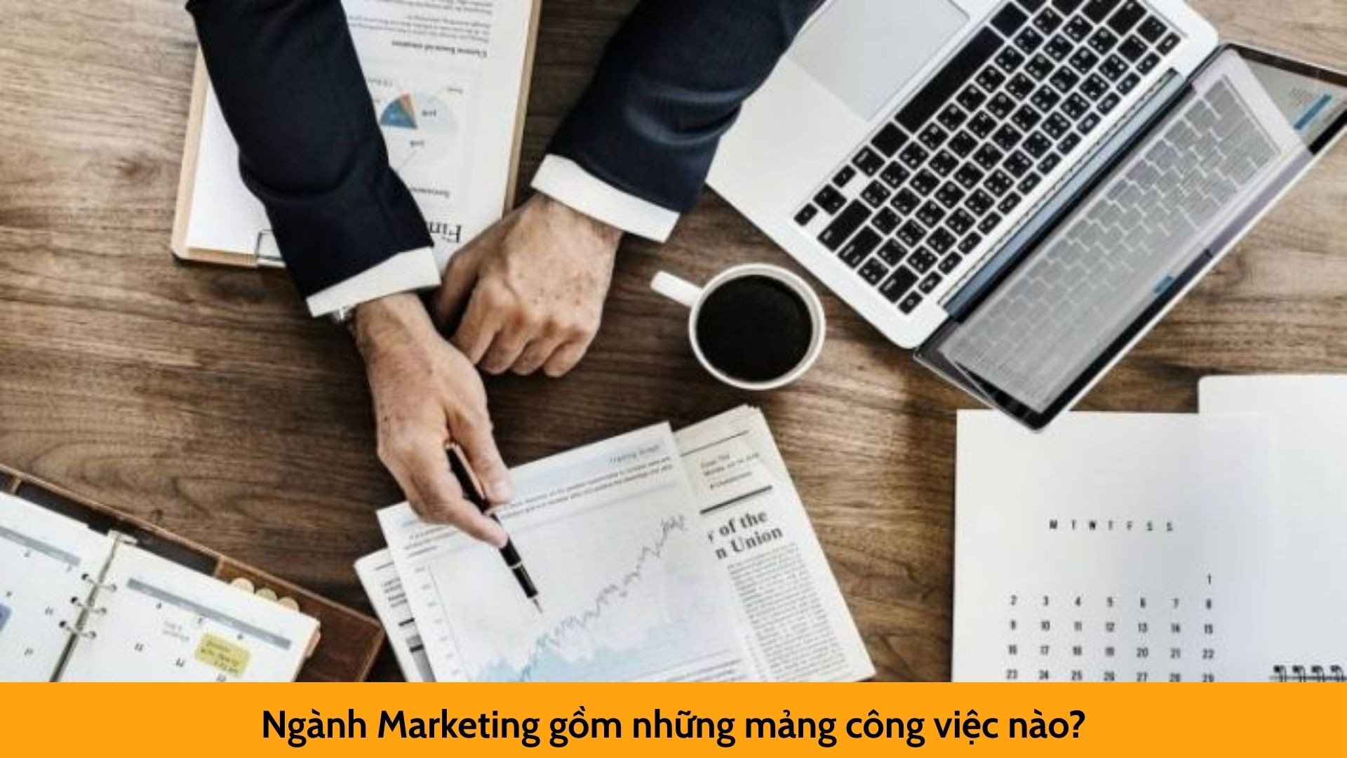 Ngành Marketing gồm những mảng công việc nào?